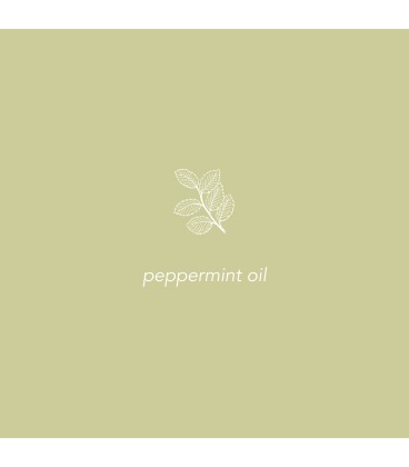 Basix Foot Food + Peppermint Oil